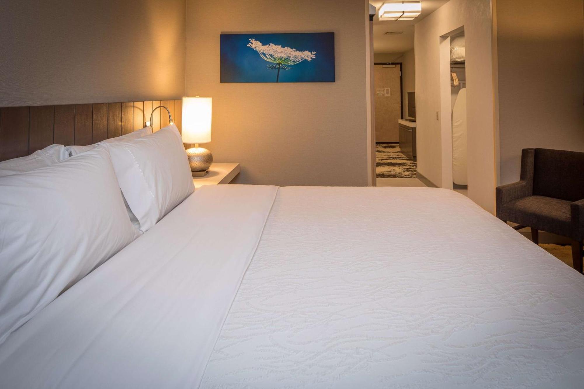 Hilton Garden Inn Pittsburgh Airport Moon Township Exterior photo